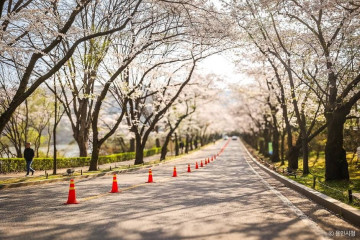 호암미술관 여행 추천 - 메고지고