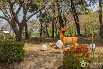 신호공원 여행 추천 - 메고지고