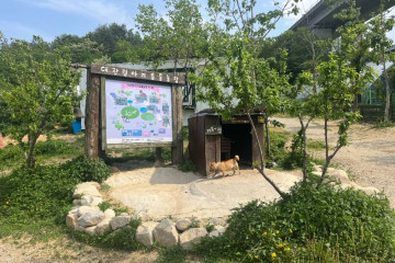 강릉 모래내 한과마을(갈골한과) 여행 추천 - 메고지고