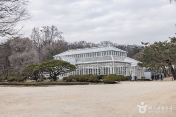 창경궁 여행 추천 - 메고지고