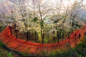장동산림욕장 여행 추천 - 메고지고