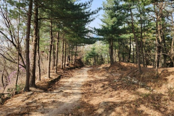 의정부음악도서관 여행 추천 - 메고지고