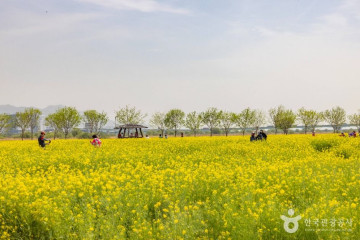 물빛색스튜디오 여행 추천 - 메고지고