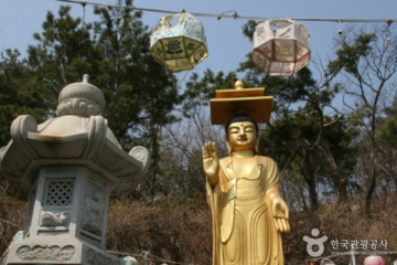 송암사 여행 추천 - 메고지고
