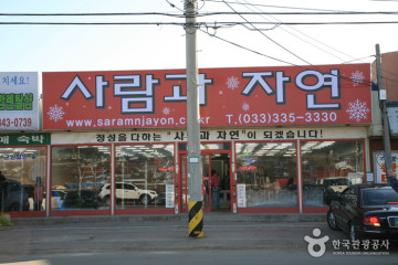 바이스포츠 여행 추천 - 메고지고
