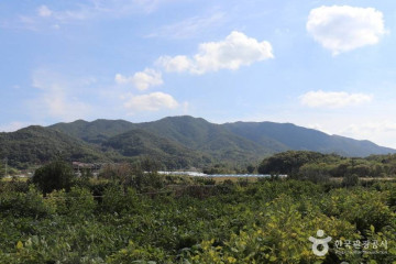 시장저수지(시장지) 여행 추천 - 메고지고