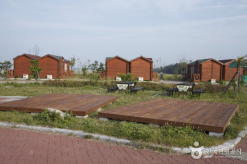 송지호관망타워 여행 추천 - 메고지고