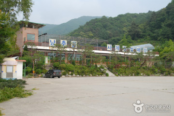 국화참숯불가마찜질 여행 추천 - 메고지고