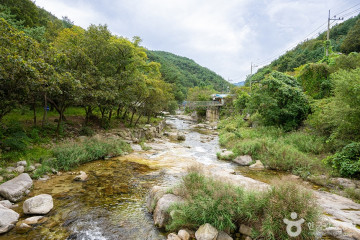 뉴힐링캠프 여행 추천 - 메고지고