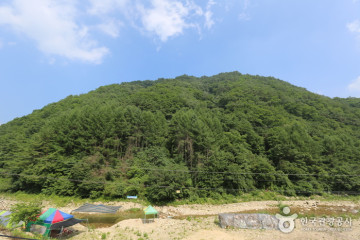 새막골캠프장 여행 추천 - 메고지고