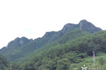 장산(영월) 여행 추천 - 메고지고
