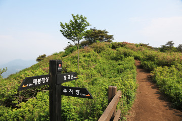 백용성조사유허비 여행 추천 - 메고지고
