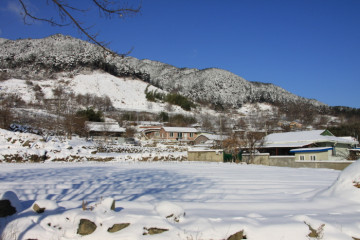 장항마을 여행 추천 - 메고지고