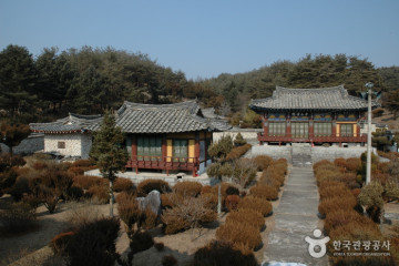 소백산꽃차이야기 여행 추천 - 메고지고
