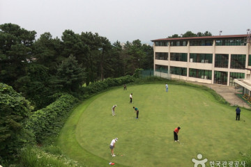 국립대전현충원 보훈둘레길 여행 추천 - 메고지고