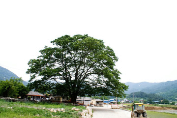 지리산 노을 펜션 여행 추천 - 메고지고