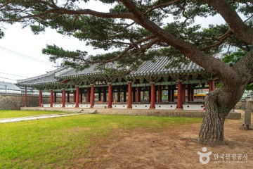 거제 명진리 느티나무 여행 추천 - 메고지고