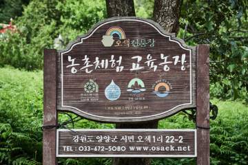 수봉야영장 여행 추천 - 메고지고
