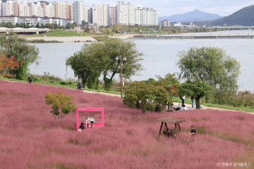 관광커뮤니티센터 여기 여행 추천 - 메고지고