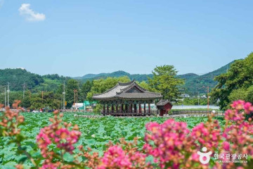 용강서원(청도) 여행 추천 - 메고지고
