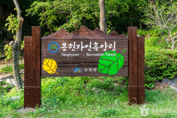 일락사(서산) 여행 추천 - 메고지고