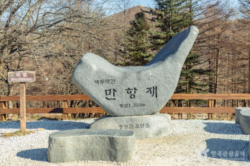 장산(영월) 여행 추천 - 메고지고