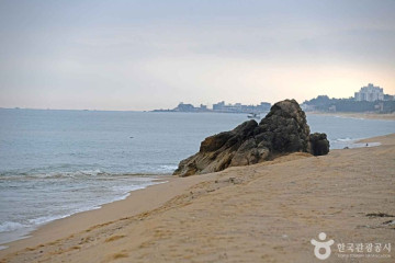 지경리해변 여행 추천 - 메고지고
