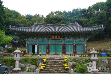부산광역시교육청학생인성교육원 여행 추천 - 메고지고