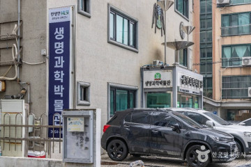 한국방송회관코바코홀 여행 추천 - 메고지고