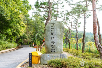영인산자연휴양림 스카이어드벤처 (영인산 짚라인) 여행 추천 - 메고지고