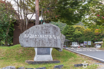 고목정 여행 추천 - 메고지고