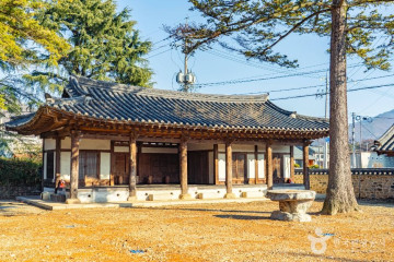 괴산 적석리 소나무 여행 추천 - 메고지고