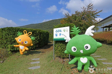 강화레포츠파크 여행 추천 - 메고지고