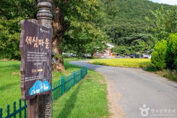 봄날처럼 여행 추천 - 메고지고