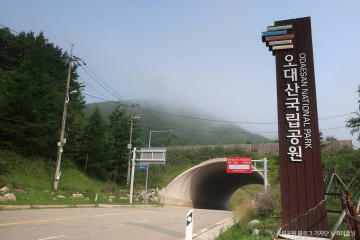 켄싱턴 프렌치 가든 여행 추천 - 메고지고