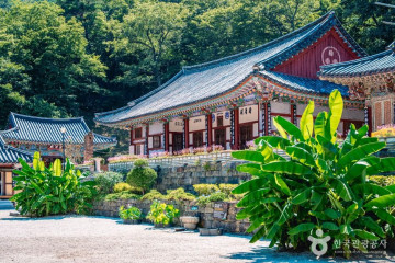 대원사계곡길 여행 추천 - 메고지고