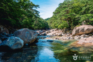 송정숲 여행 추천 - 메고지고