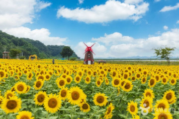 망향대 여행 추천 - 메고지고