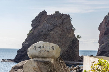 거북바위 및 향나무 자생지 (울릉도, 독도 국가지질공원) 여행 추천 - 메고지고