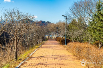 청성애원 우루루동물농장 여행 추천 - 메고지고