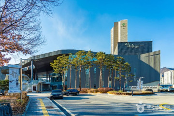아리랑박물관 여행 추천 - 메고지고