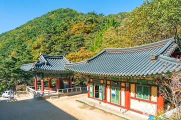 블루마운틴 여행 추천 - 메고지고
