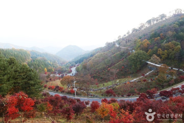 함양 목현리 구송 여행 추천 - 메고지고