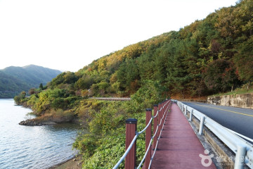 관점마을 여행 추천 - 메고지고