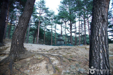 양양 진전사지 삼층석탑 여행 추천 - 메고지고