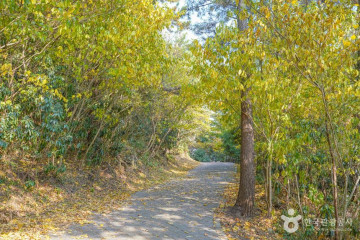 제주맥주 여행 추천 - 메고지고