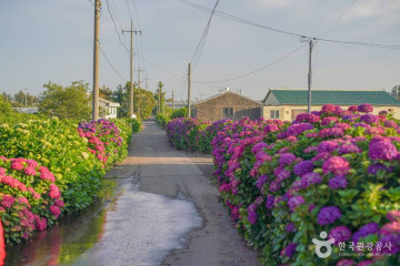 노리매공원 여행 추천 - 메고지고