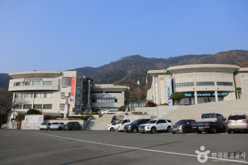 창원 편백 치유의 숲 여행 추천 - 메고지고