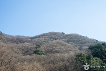 축령산자연휴양림 여행 추천 - 메고지고