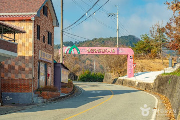 진안 꽃잔디동산 여행 추천 - 메고지고